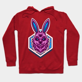 the god of destruction Hoodie